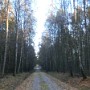 Perfektní lesní cesta v CHKO Litovelské Pomoraví.