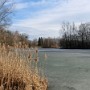 Ještě zamrzlé jezírko v parku B. Němcové v Karviné.