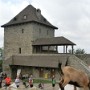 Hradní věž Starého Jičína a dvě vlezlé kozky.