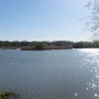 Ještě jeden pohled na rybník Skučák.