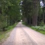 Pohodová cesta rakouským lesem.