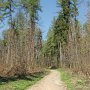 Míříme lesní cestou k lázním Klimkovice.