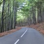 Cesta na Hostýn vede krásným lesem.