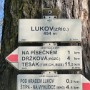 Detail rozcestníku na Lukově.