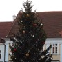 Vánoční strom na náměstí v Mikulově.