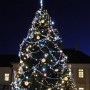 Rozvícený vánoční strom.