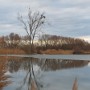 Na Pláňavském rybníce je zčásti led.