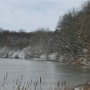 Pohled na zasněžený a omrzlý porost u rybníku.