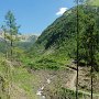 Pohled do Žiarské doliny, kde se minulý rok prohnala stoletá lavina.