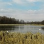 Pawlowický rybník.