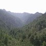 Pohled na zalesněné kopce kaňonu Restonica.