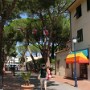 Pěší zóna v centru Mariny di Campo.