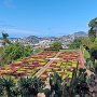 Botanická zahrada Madeira (Jardim Botânico da Madeira).