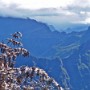 Nejvyšší vrchol Réunionu se halí do mlhy.