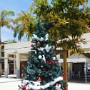 Vánoční stromeček v tropickém vedru.